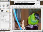 screen1